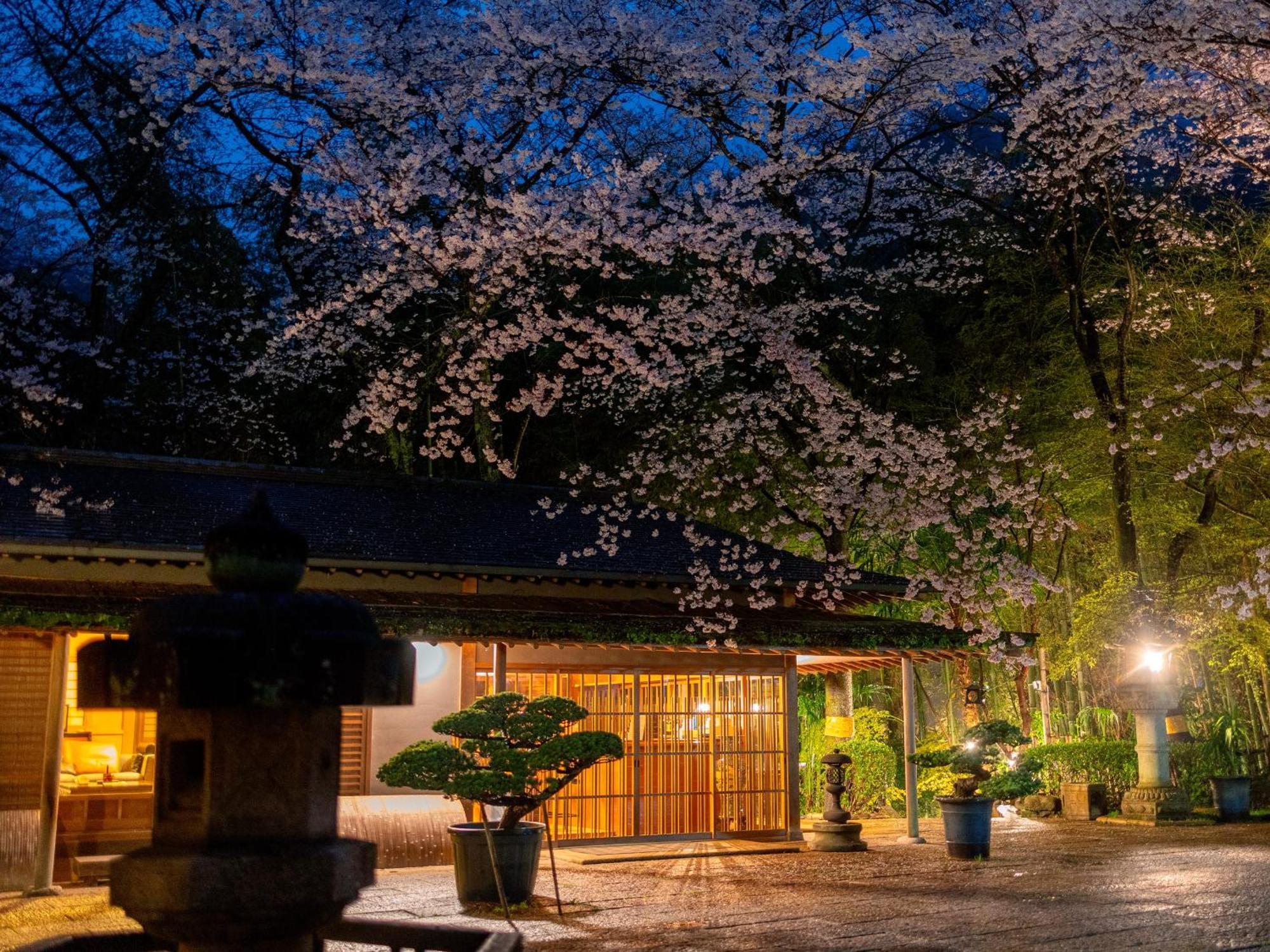 Izumi  樱泉会馆酒店 外观 照片
